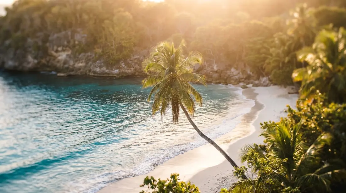 A secluded Caribbean cove with turquoise water and a leaning palm at golden hour