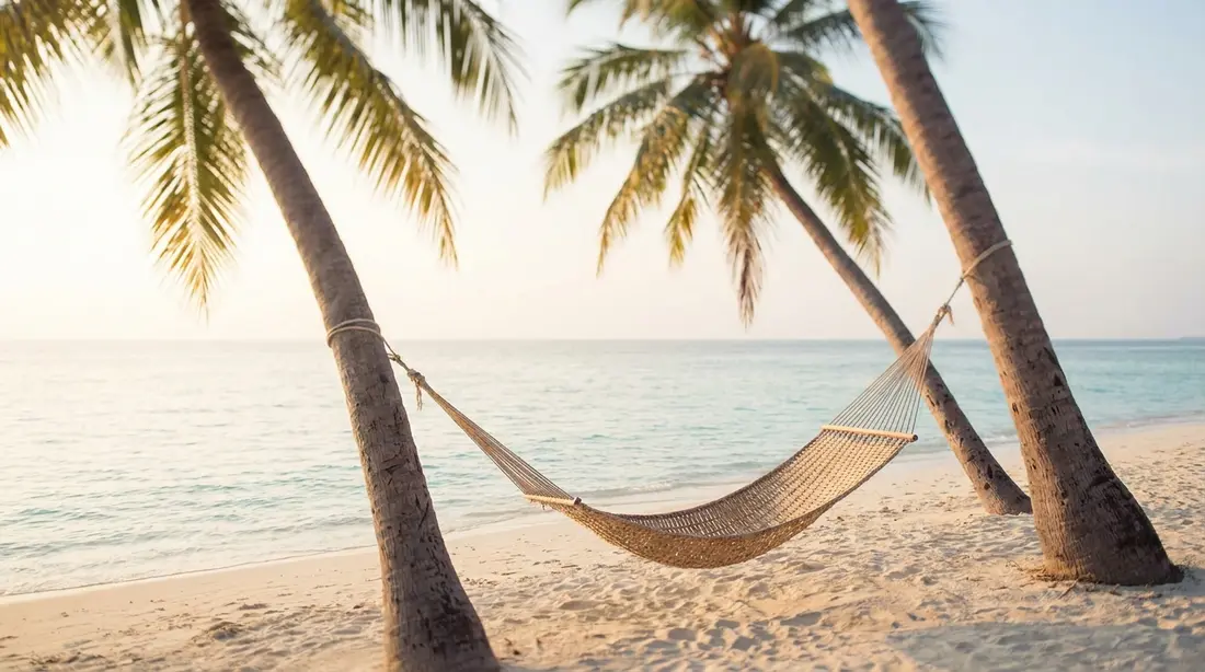 A hammock strung between two palms on a quiet Caribbean beach
