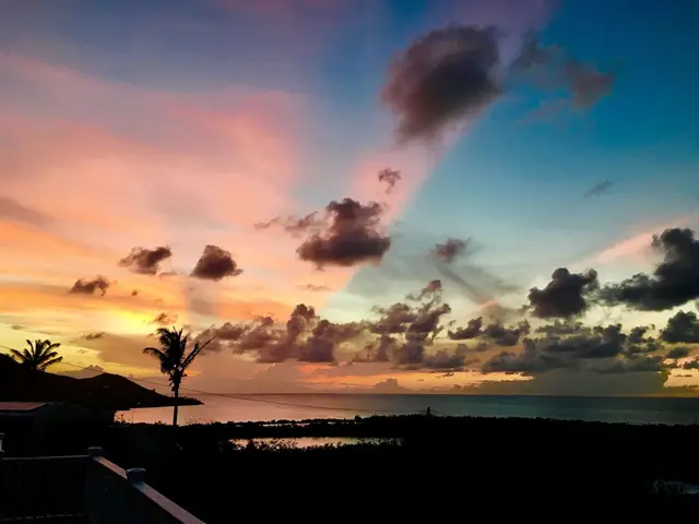 Hook 'em on Paradise, photo 35
