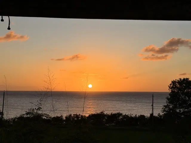 Sunset Sea-Clusion, photo 41